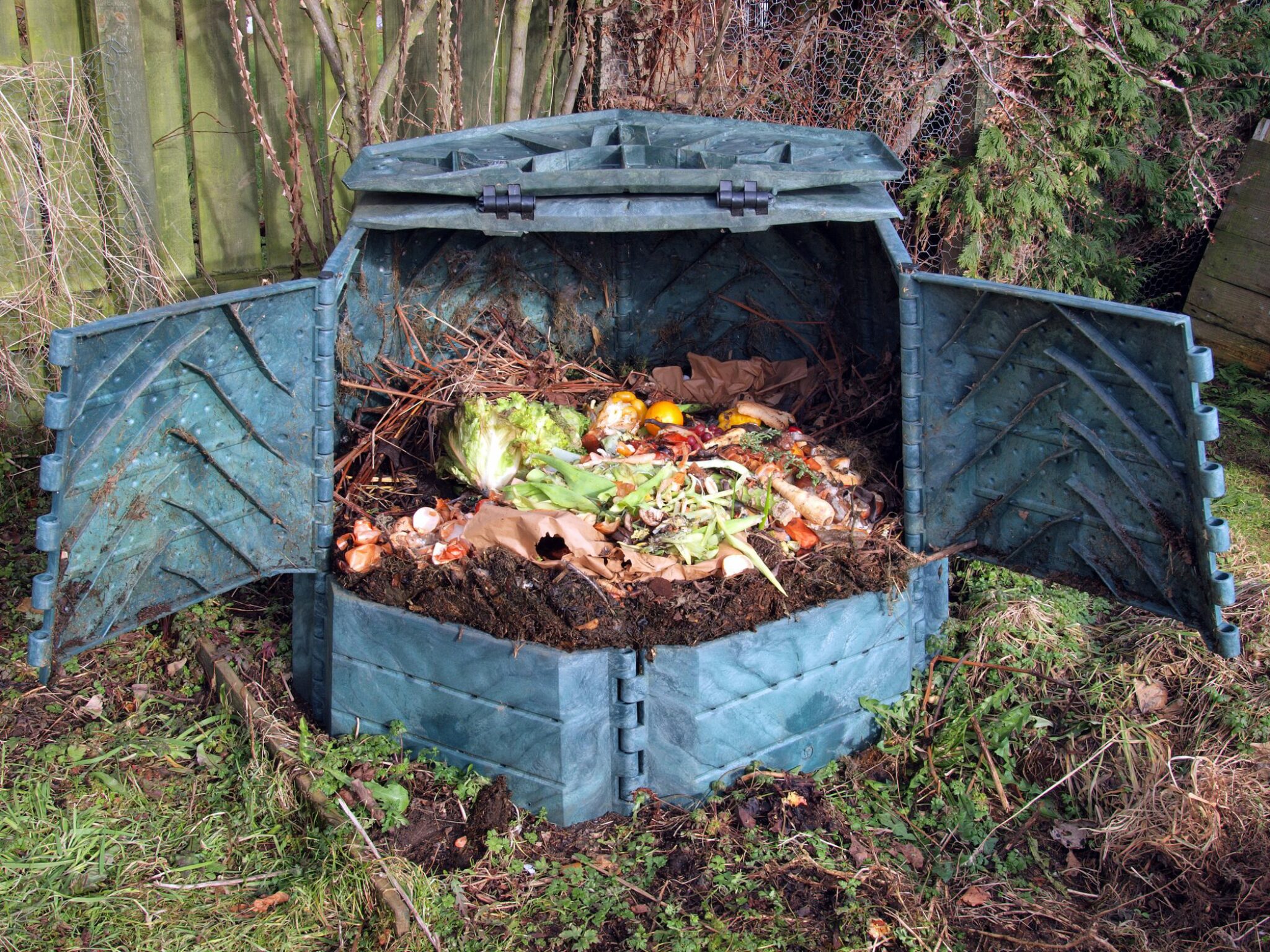 I 5 Migliori Bidoni Per Il Compost Da Interni Ed Esterni